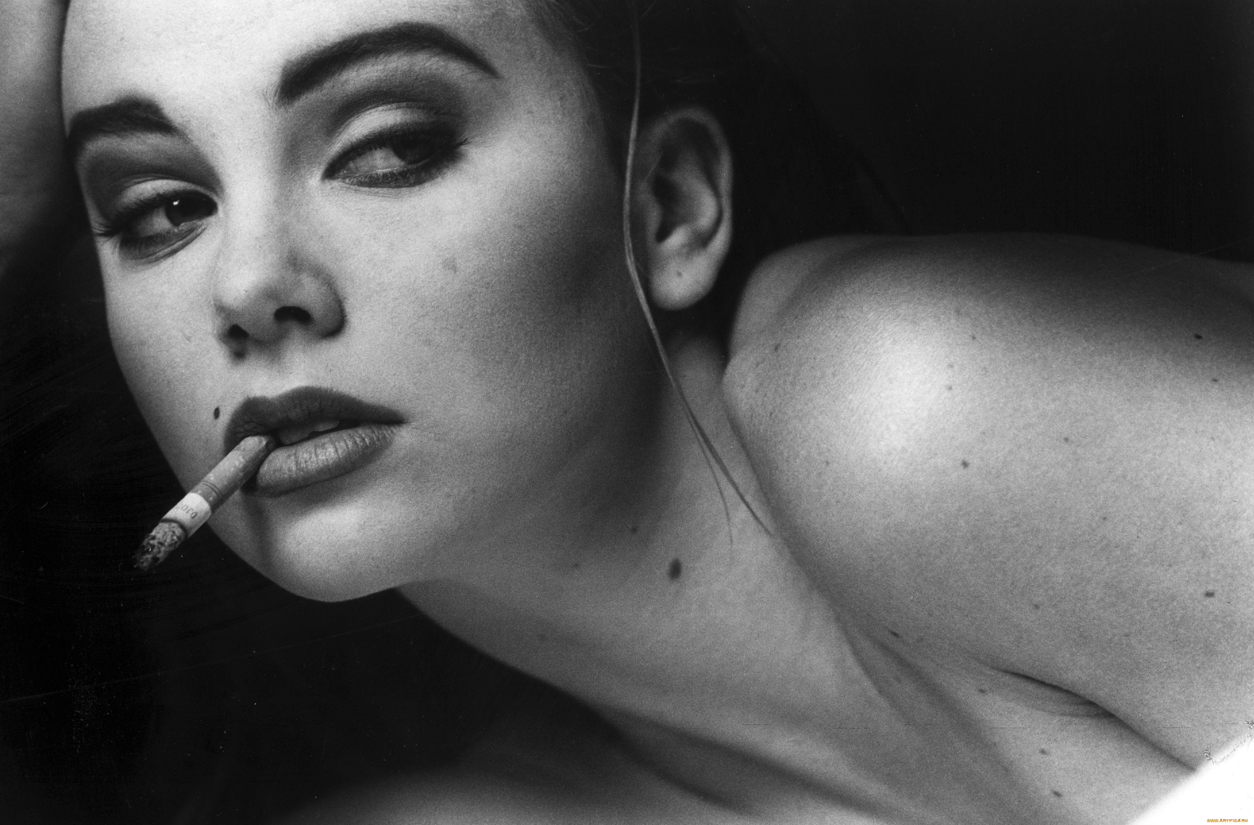 , sasha grey , marina ann hantzis, -, , 
